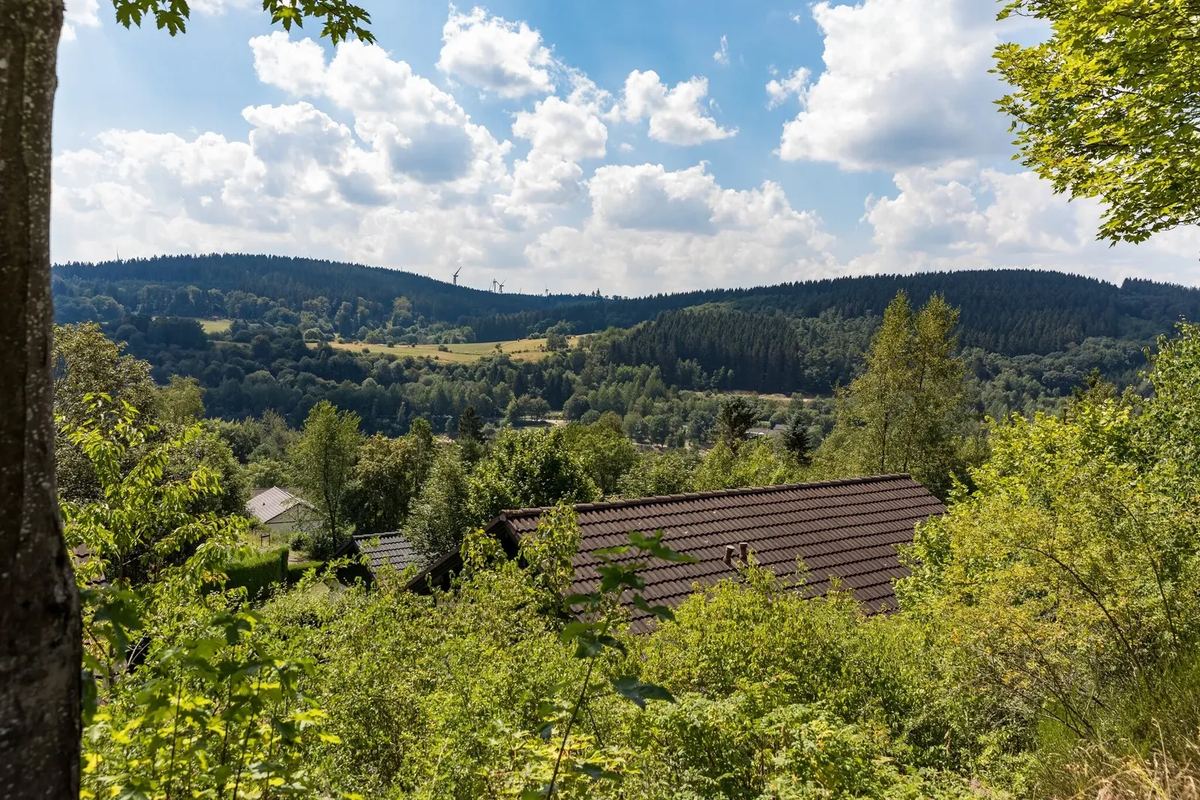 Blick über bewaldete Hügel der Eifel