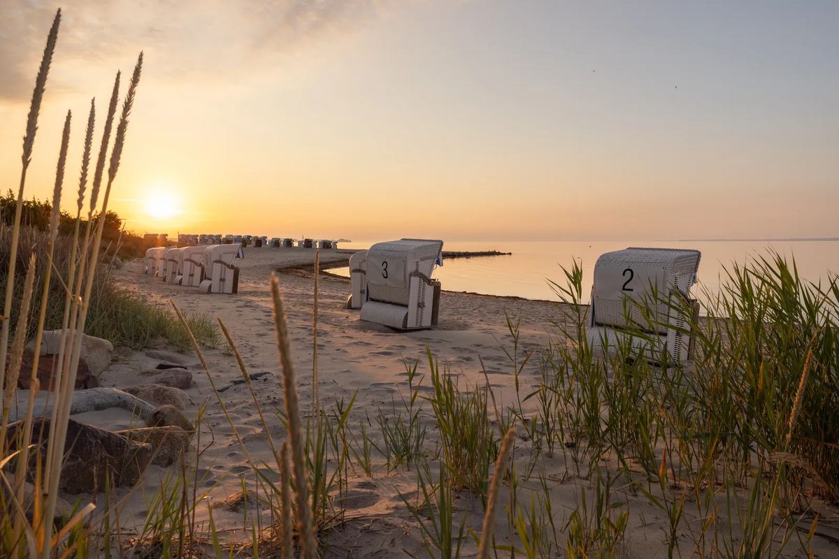 Strandhafer und Strandkörbe am Meer