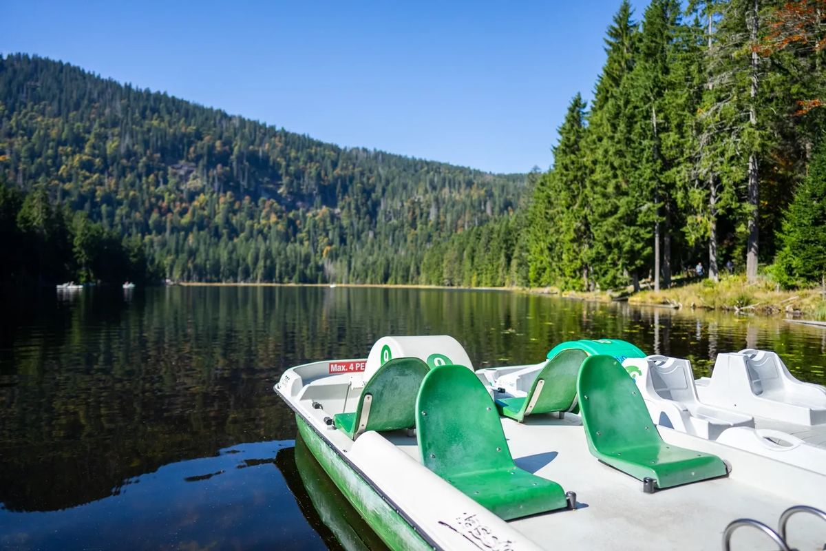 Tretboote an einem Bergsee im Wald