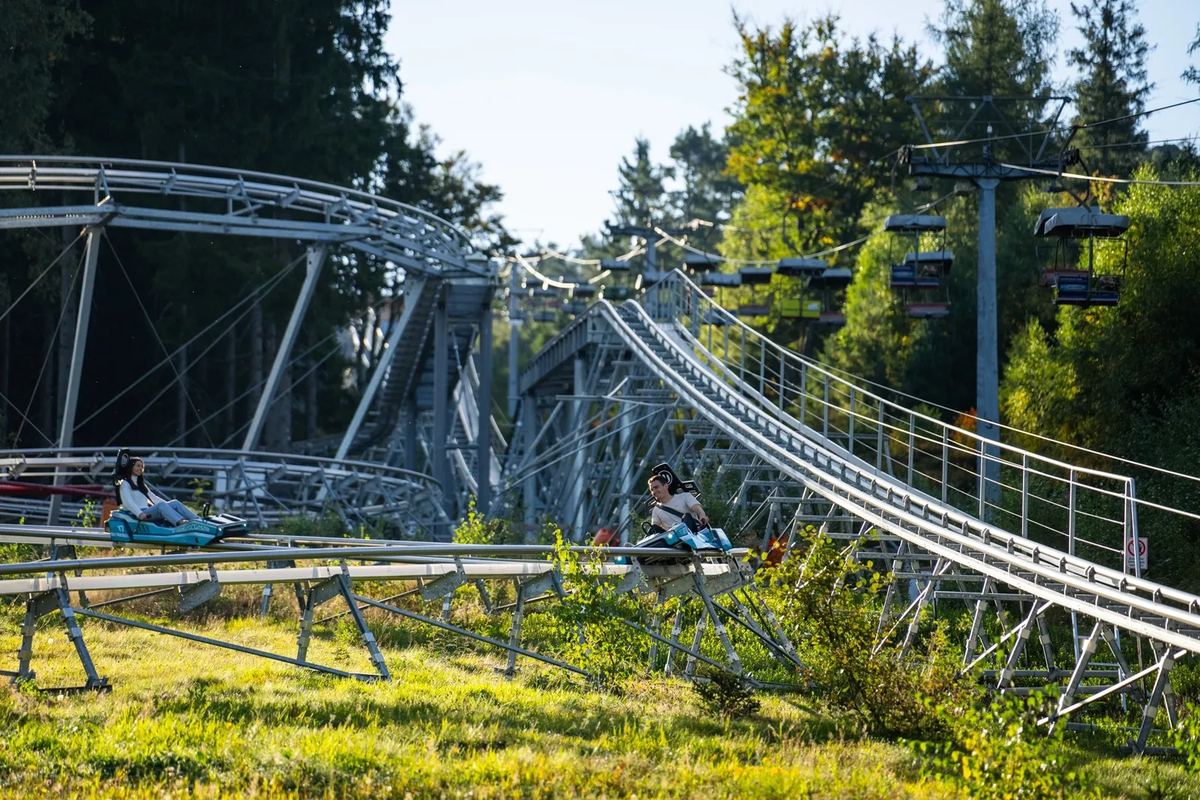Rodelbahn mit Kurven im Wald