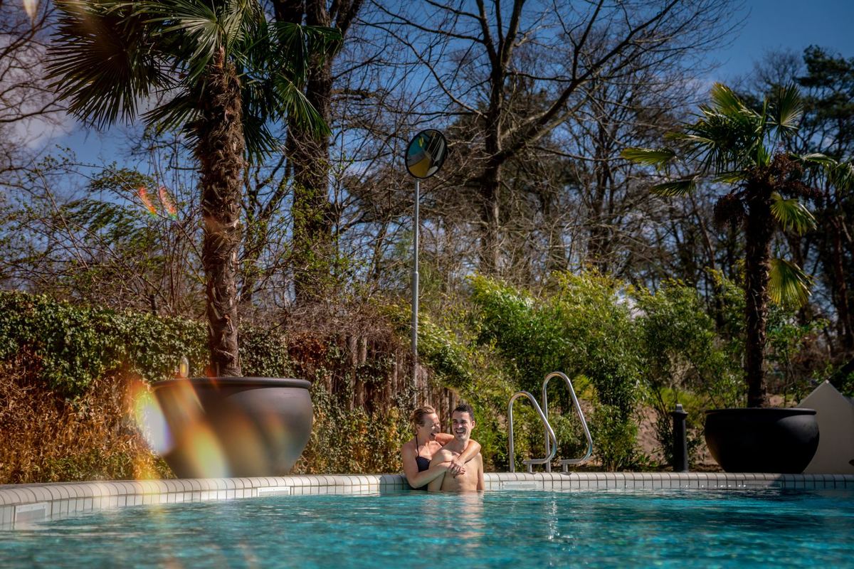 Außenbecken zwischen Palmen und Bäumen