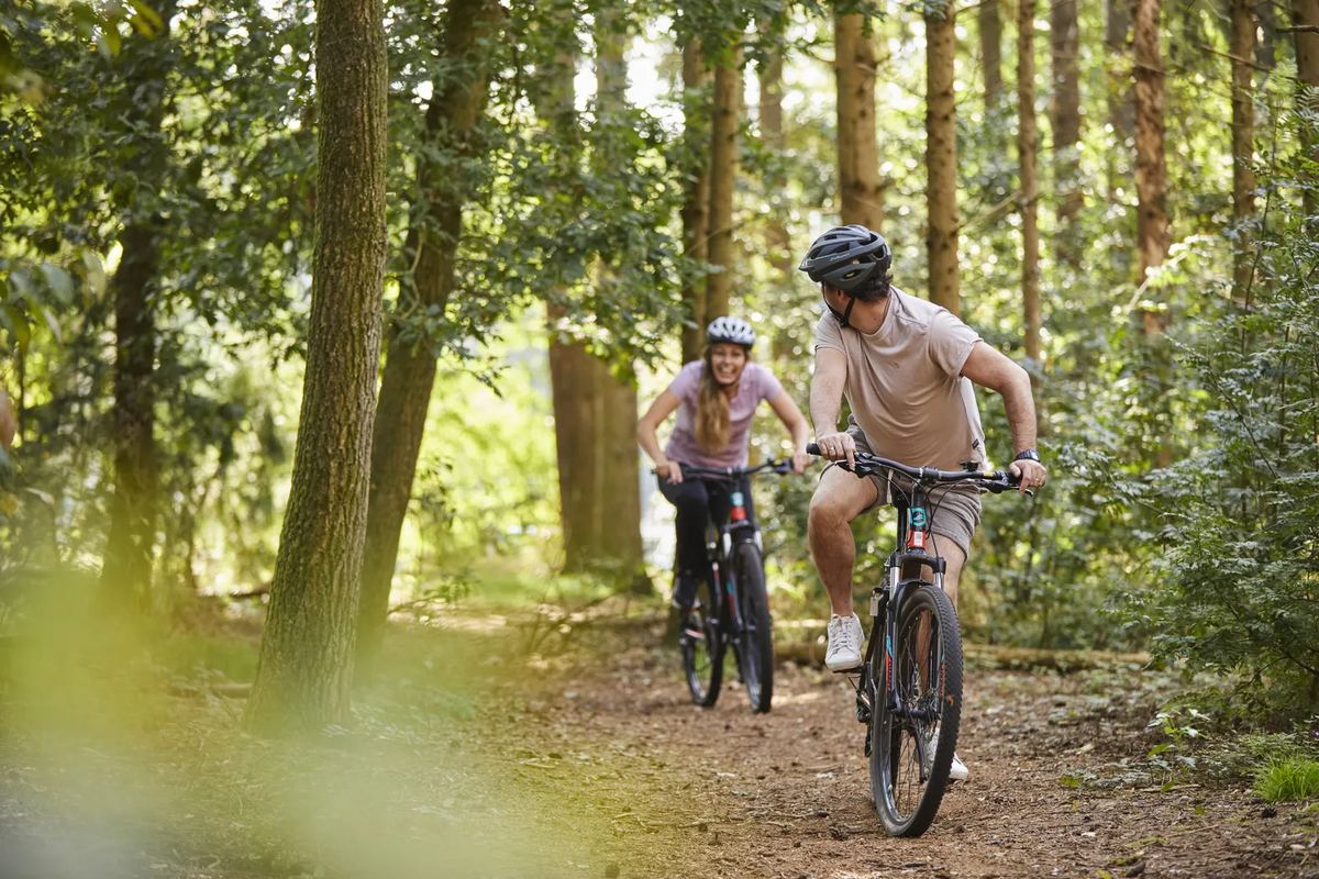 Paar auf Mountainbikes im Wald