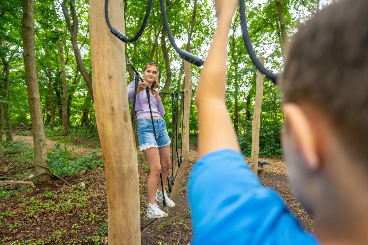 Kinder klettern an Seilen im Wald