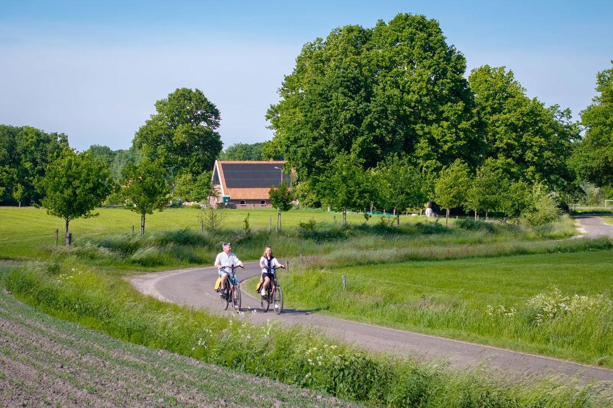 Radfahrer auf einem Weg durch Felder