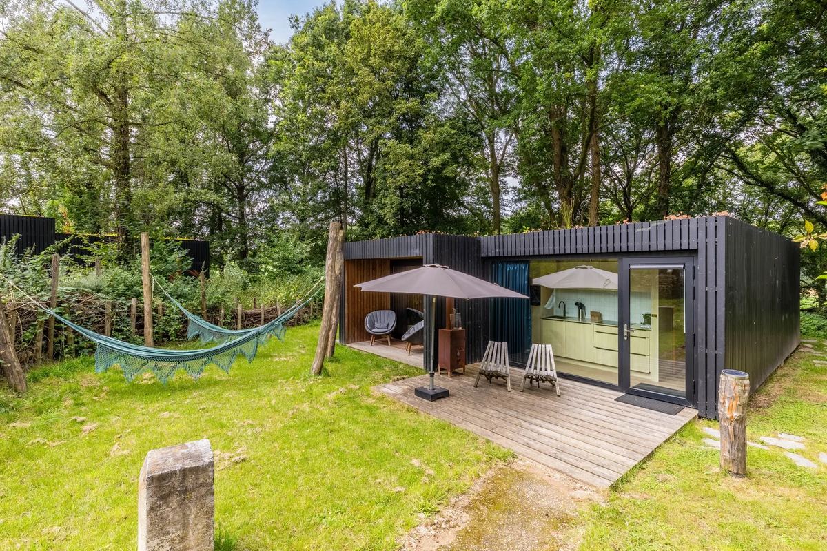 Dunkle Lodge mit Terrasse und Hängematte im Garten