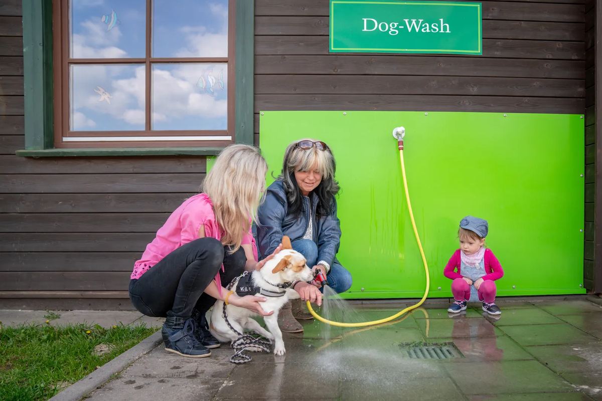 Hund wird an einer Hundedusche abgespült