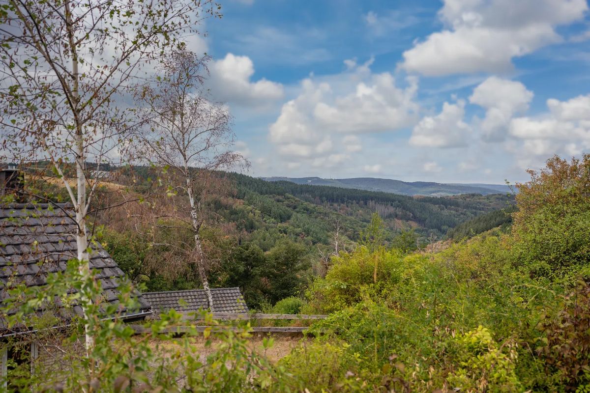 Blick von einem Ferienhaus über bewaldete Hügel