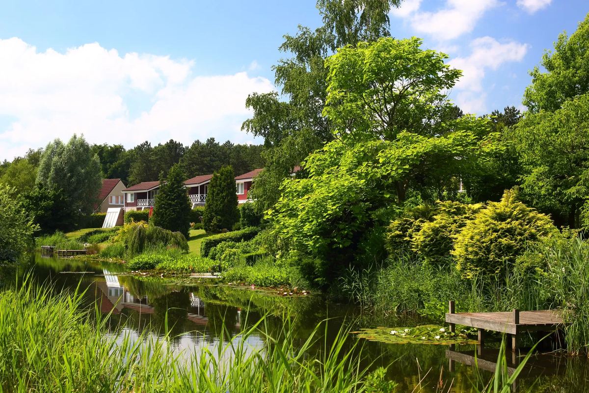 Ferienhäuser hinter einem Teich